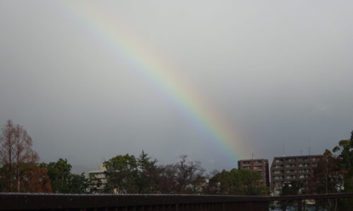 発達凸凹の子どもに感情をぶつけた時
