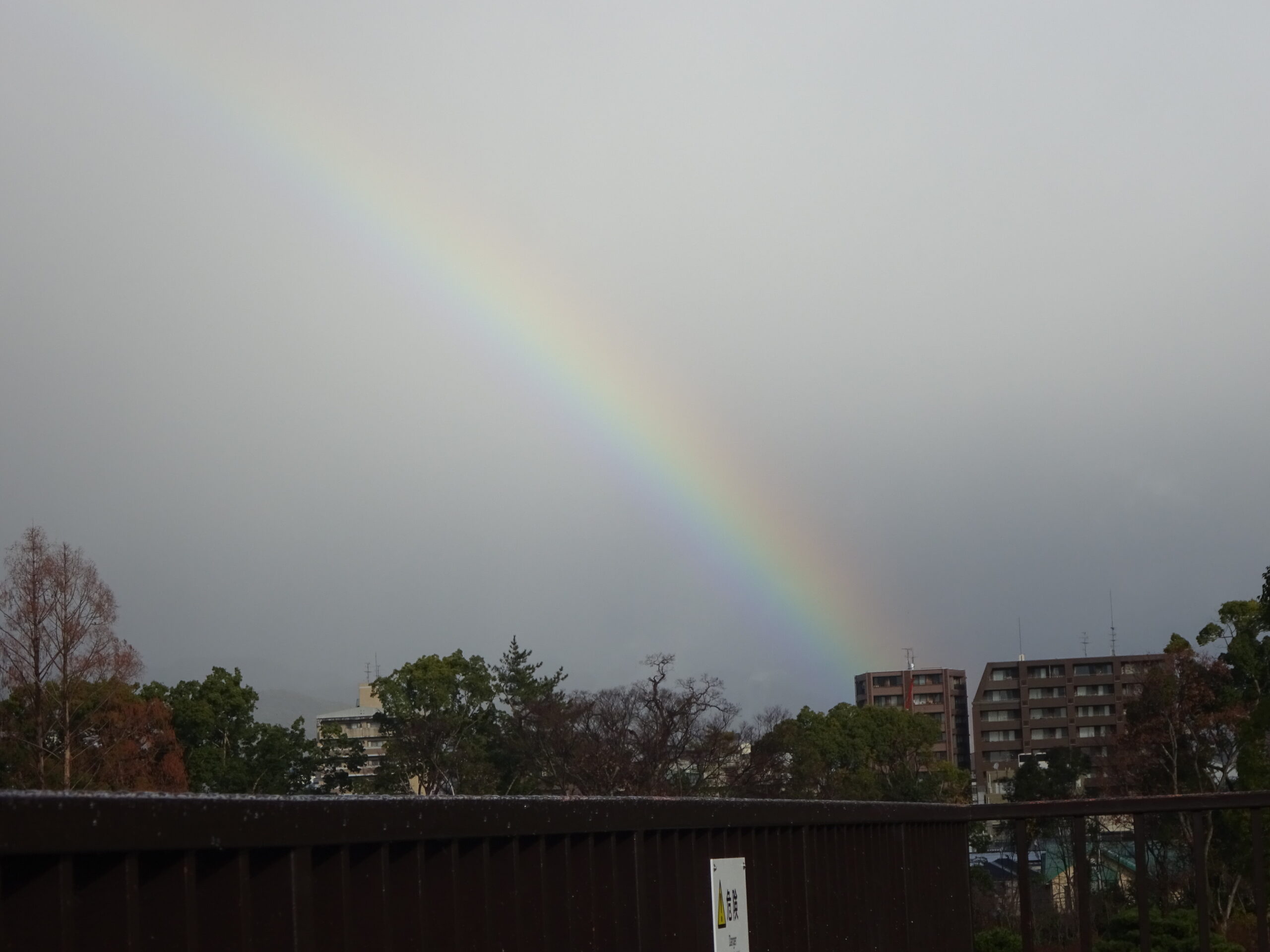 You are currently viewing 発達凸凹の子どもに感情をぶつけた時